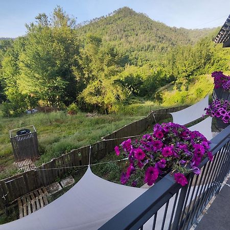 בורגטו די וארה Agriturismo Terre Di Ginepro מראה חיצוני תמונה